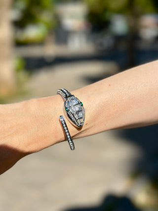 Bvl Watch Silver